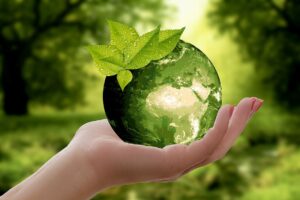 nature-earth-sustainability-leaf-ecologia-ambiente-sostenibilita-natura