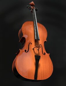 violoncello-cello-strings-stringed-instrument-wood