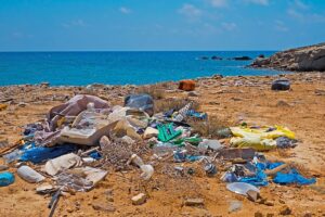 garbage-plastic-waste-beach-environmental-sin