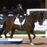 kaastrups paraolympic
