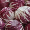 radicchio